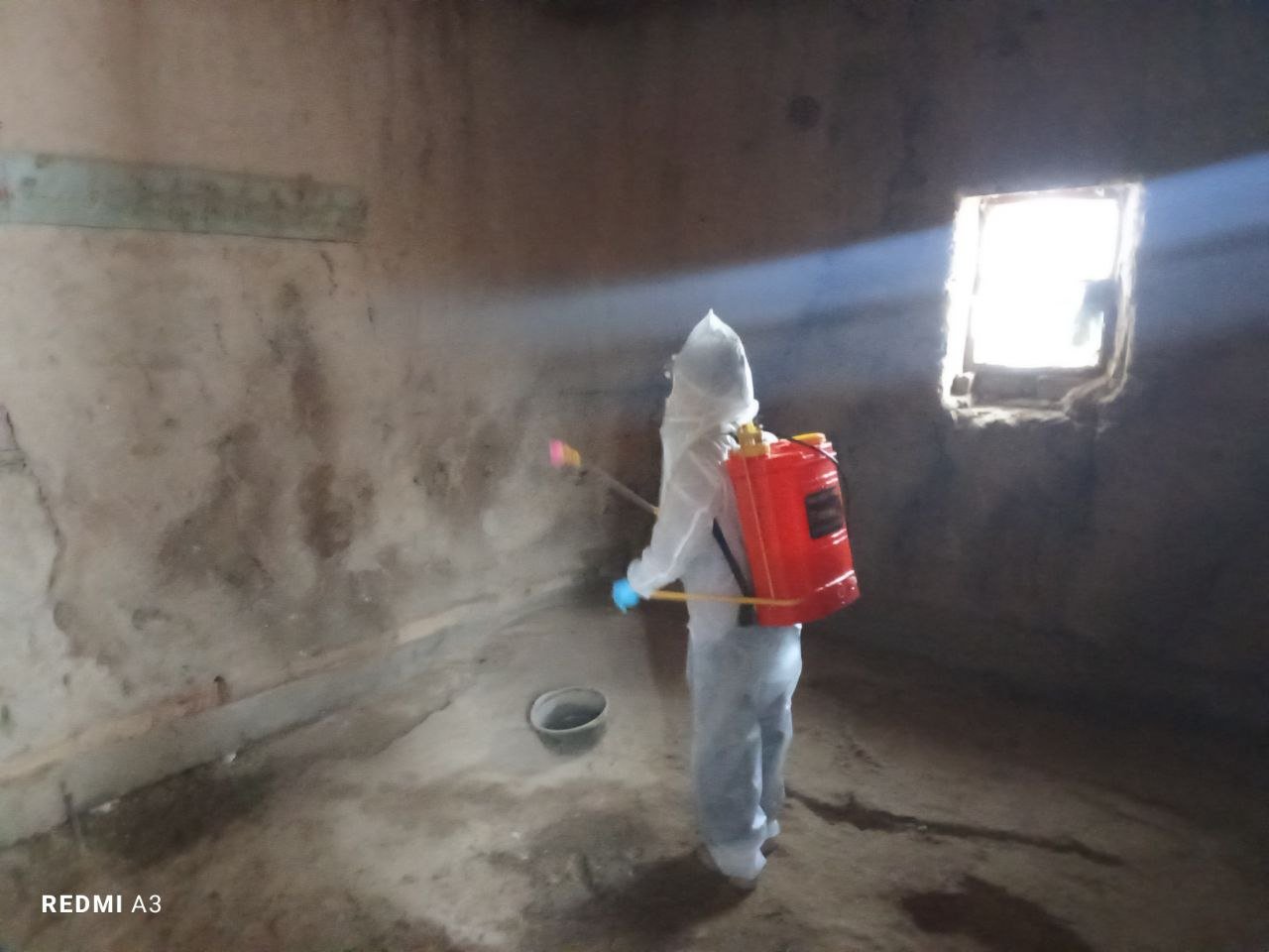 Tuproqqal'a tumani Navbahor mahallasida yashovchi Solaev Isroiljon xonadonidagi molxonasida deratizatsiya ishlari o'tkazildi.