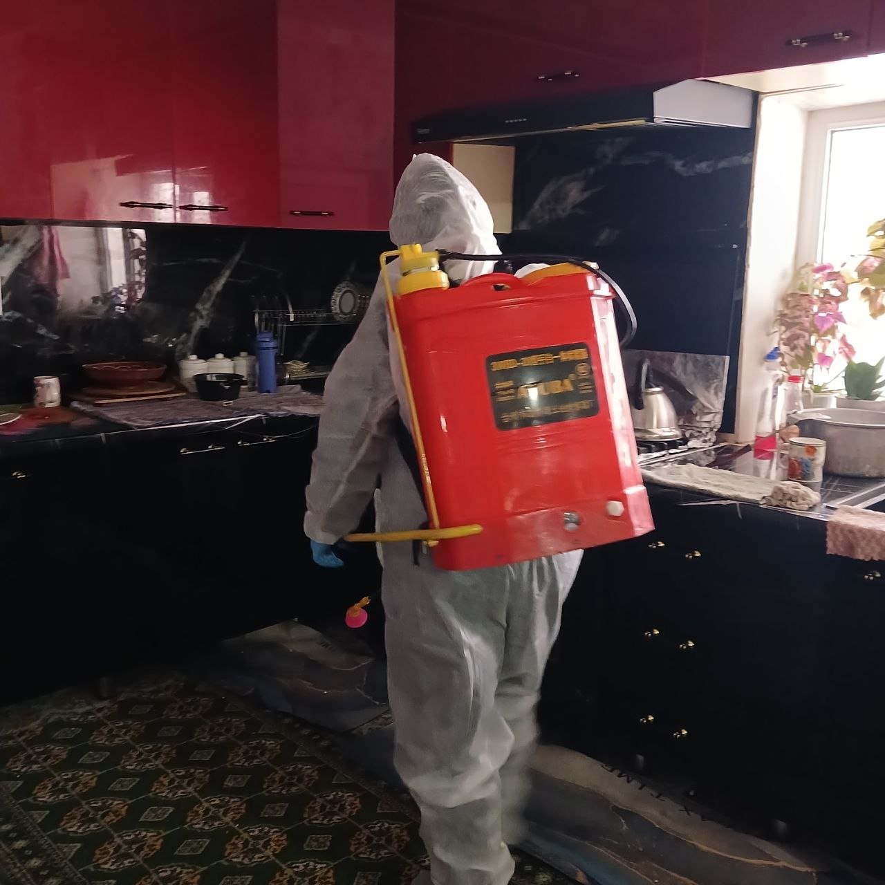 Tuproqqal’a tumani Yangi zamin mahallasida yashovchi suvchechak kasalligi bilan kasallangan Qosimova I fora xonadonida epidemiologik surushtiruv o'tkazilib,surtma olinib dezinfeksiya ishlari o'tkazildi.